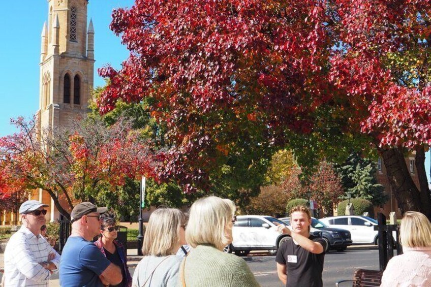Mudgee's Secrets and Hidden History Walking Tour 1