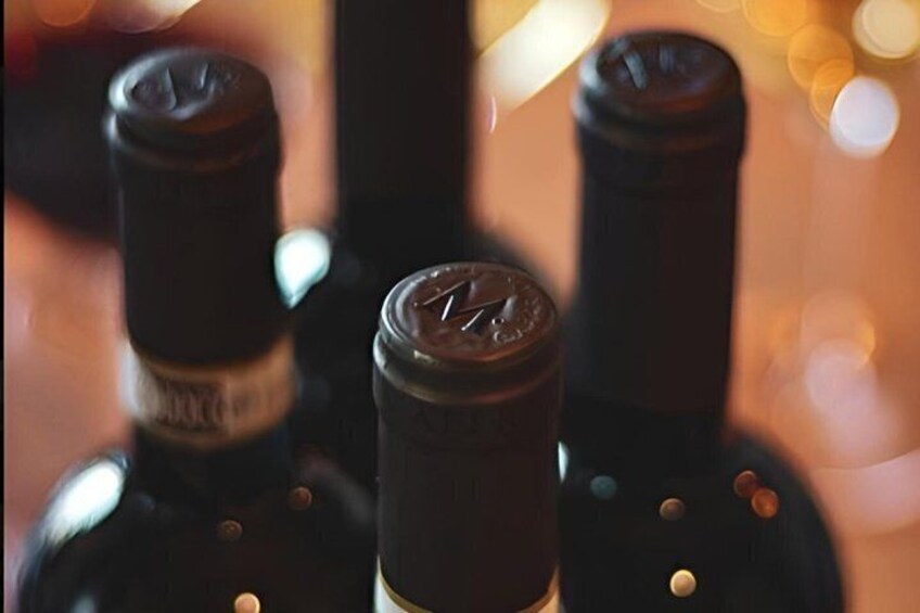 Wine Tasting Trident Line with Streghette Imolasi 4