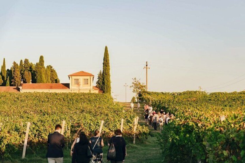 Wine Tasting Native Selections with Streghette Imolasi 4
