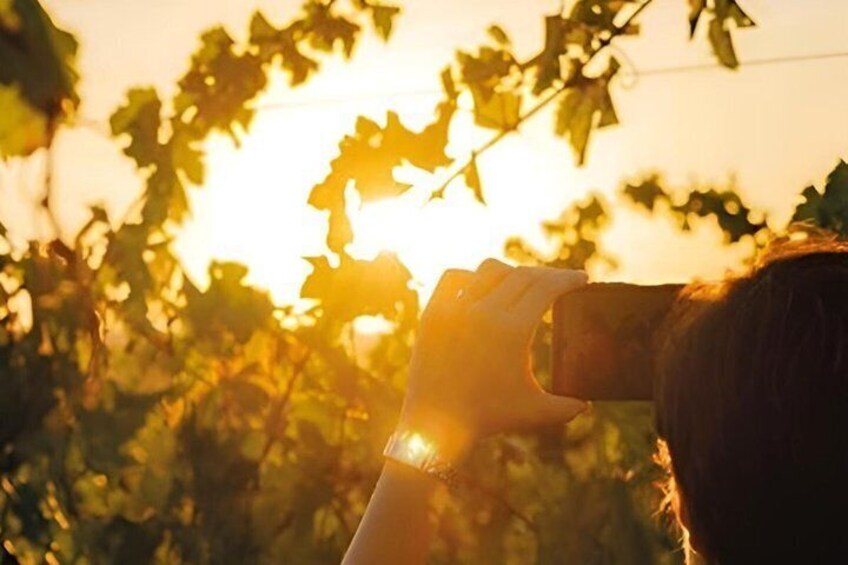 Wine Tasting Native Selections with Streghette Imolasi 2