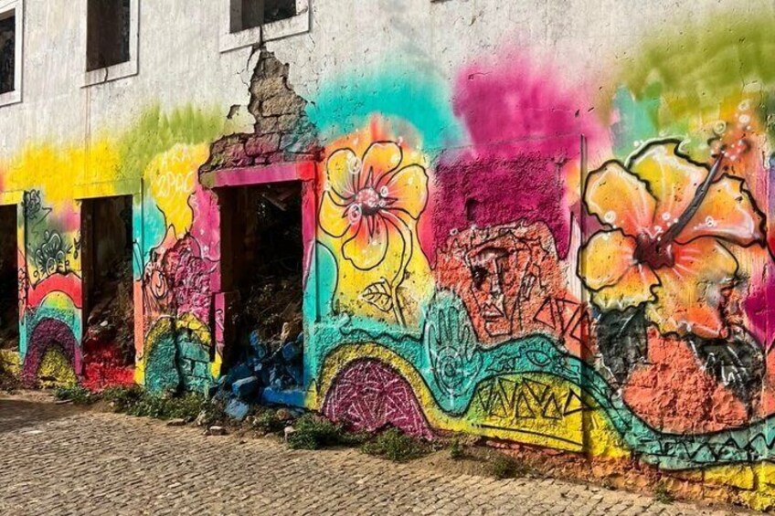 Tour of the island of Brava by van 2