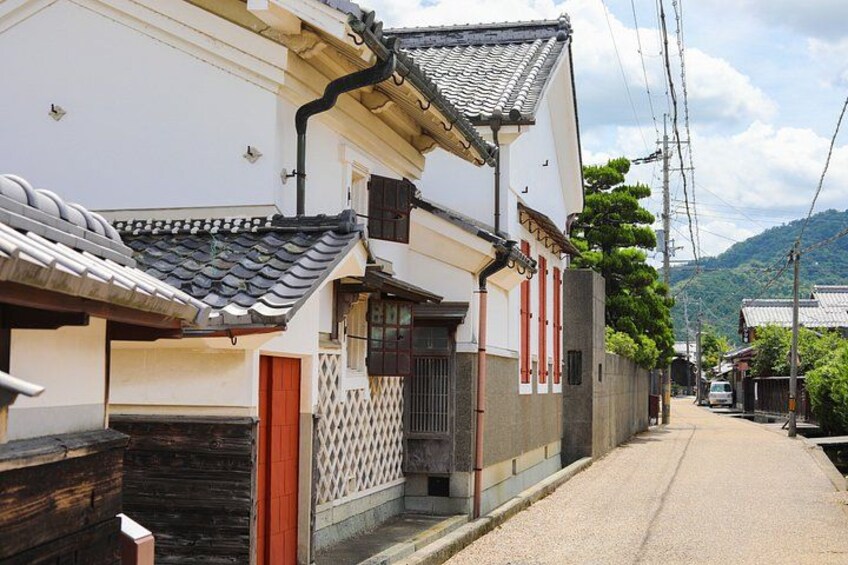 A narrow street lined with traditional Japanese houses, a wooden fence, and a mountain in the background. 4