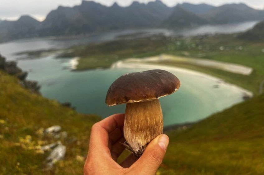 A hand holding a mushroom with a lake and mountains in the background. 5