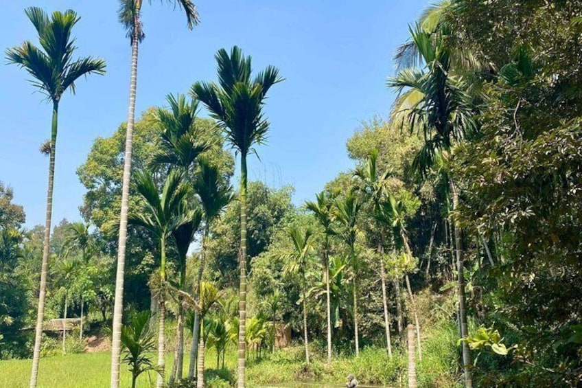 Buon Ma Thuot Experience with Ede Culture and Village Life 5