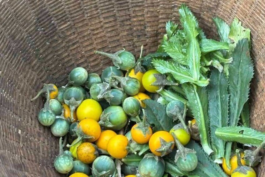 Buon Ma Thuot Experience with Ede Culture and Village Life 2
