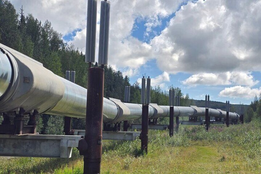 A series of large industrial pipes supported by metal structures in a natural setting. 4