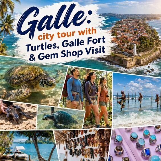 A city tour with turtles, Galle Fort, and a gem shop visit. 1