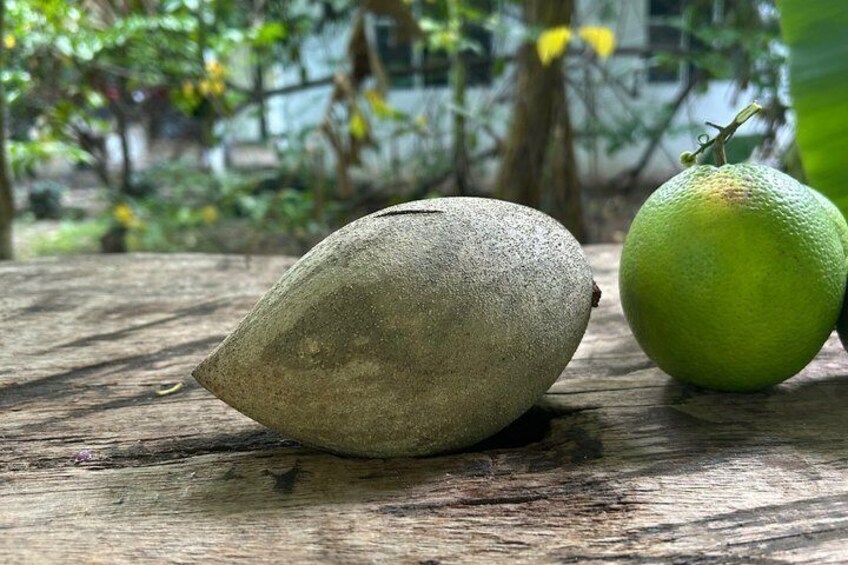 A green fruit and a stone-like object on a wooden surface. 5