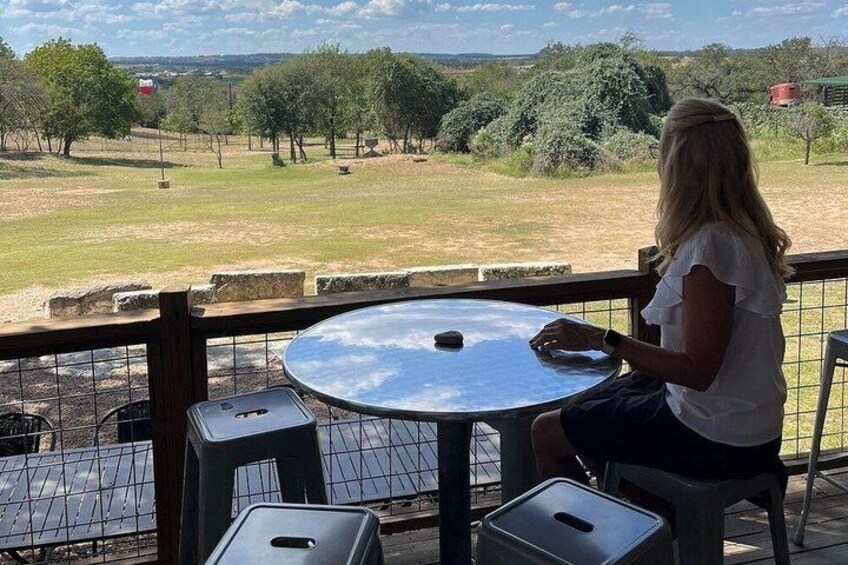 A person sitting at a table with a view of a fenced outdoor area. 3