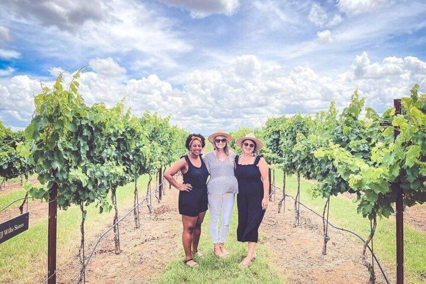 A vineyard with rows of grapevines and a sign that reads 'Wildey Selection.' 5