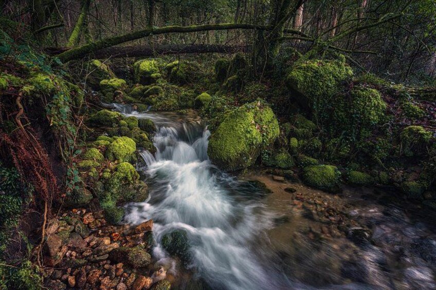 A forest stream with moss-covered rocks and a flowing water. 3