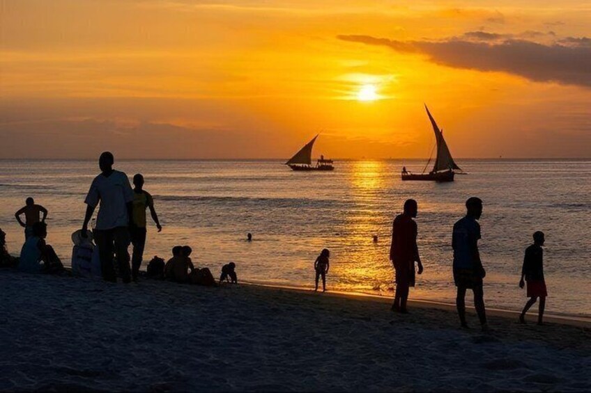 Zanzibar Dolphin Snorkeling Turtle and Kendwa Sunset 2