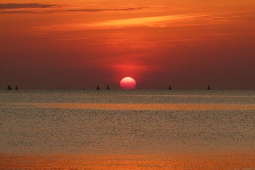 Zanzibar Dolphin Snorkeling Turtle and Kendwa Sunset 3