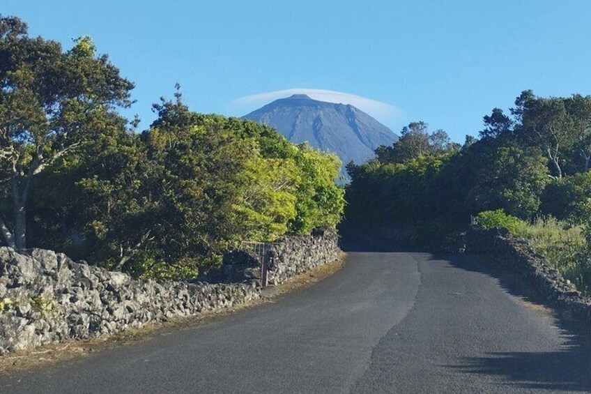 A winding road with a stone wall on one side and trees on the other, leading towards a mountain. 1
