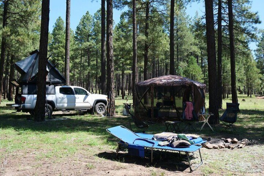 A white pickup truck, a tent, a blue tarp, and a small structure in a forest. 4