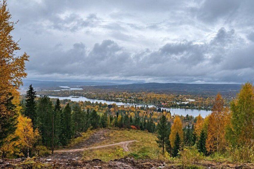 A forested landscape with a lake and a cloudy sky. 3