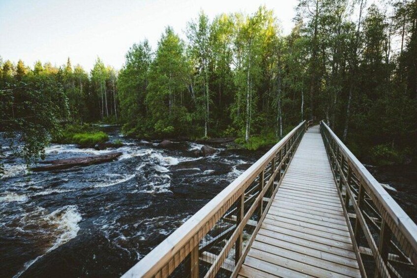 Rovaniemi Nature Tour with Local BBQ Experience and HD Photos 1