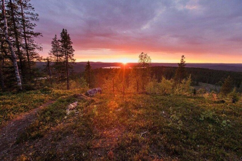 Rovaniemi Nature Tour with Local BBQ Experience and HD Photos 2