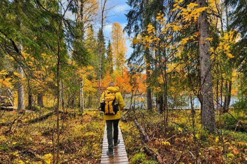 A person hiking on a wooden boardwalk through a forest with autumn-colored trees. 4