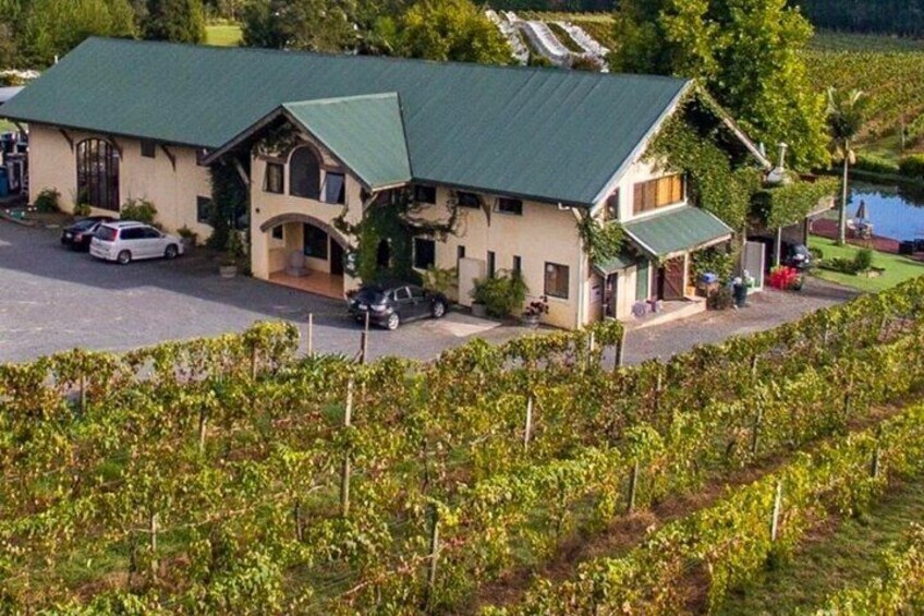 Visit one of our local vineyards 5