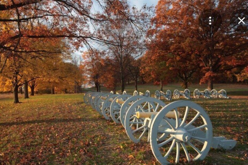 A row of large white wagon wheels in a park with autumn trees. 1