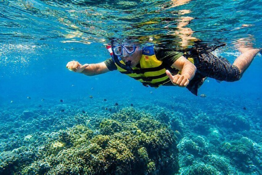 A person snorkeling underwater with a coral reef in the background. 1