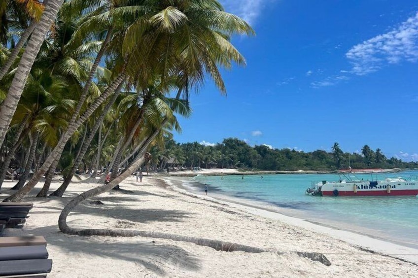 A beach with palm trees, a boat, and clear blue water. 1
