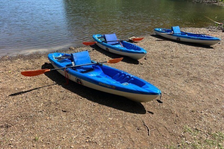 Three blue kayaks on a gravel shore by a calm body of water. 2