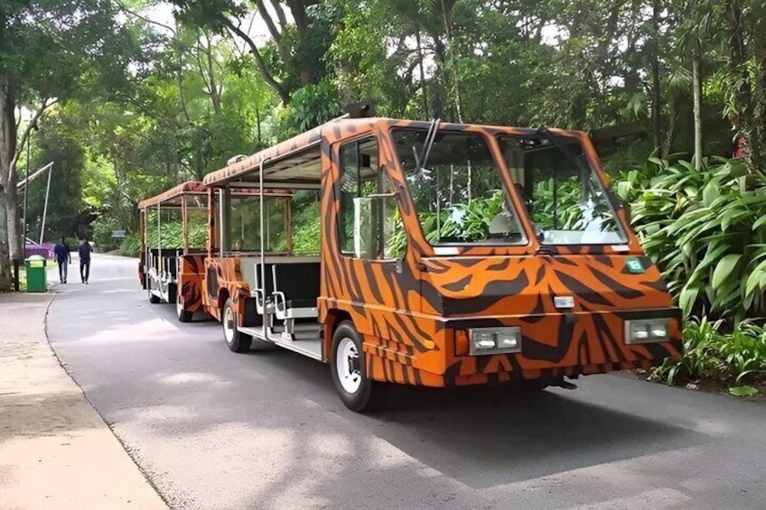 Singapore Zoo Direct Entry Ticket with Tram Rides 3