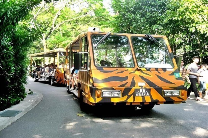 Singapore Zoo Direct Entry Ticket with Tram Rides 1