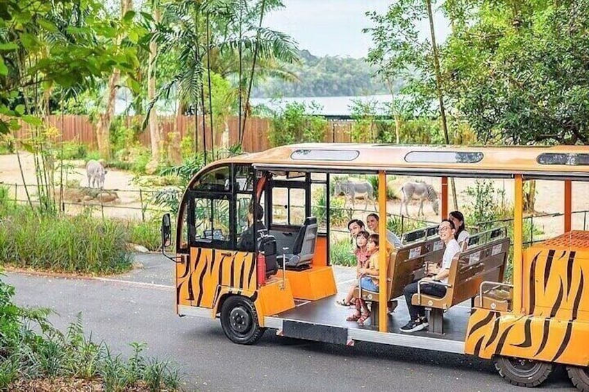 Singapore Zoo Direct Entry Ticket with Tram Rides 4