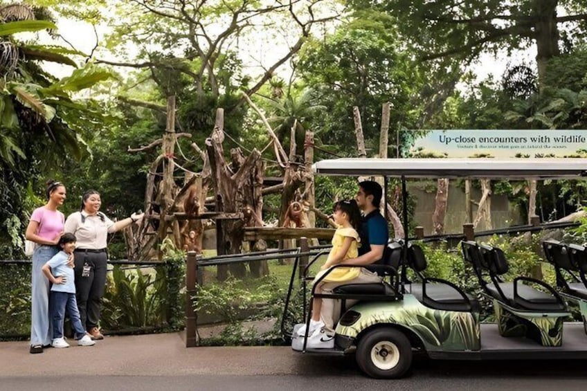 Singapore Zoo Direct Entry Ticket with Tram Rides 2