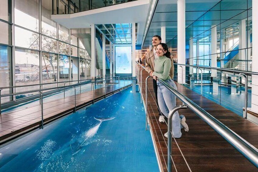 A swimming pool with a dolphin, glass walls, and a wooden deck. 2