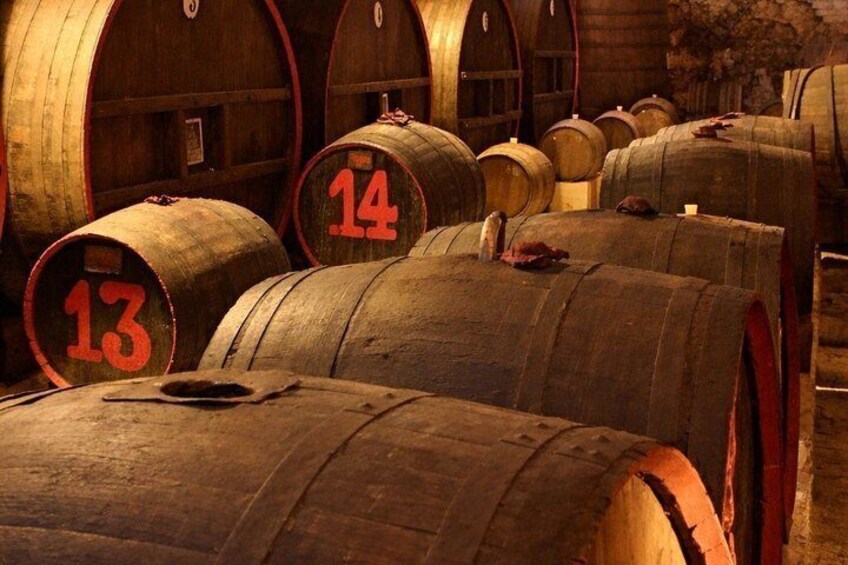 Wine Tasting Experience at Tenuta Colavecchio 2