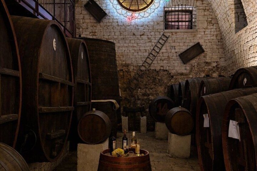 Wine Tasting Experience at Tenuta Colavecchio 5