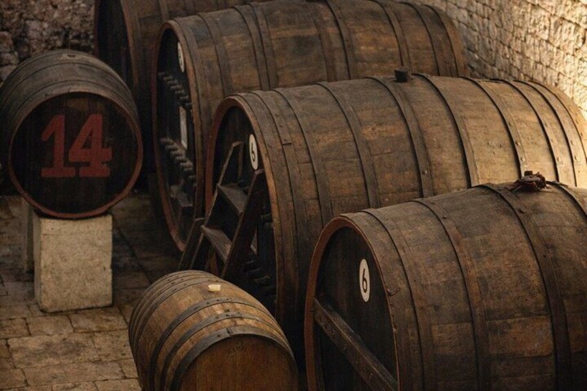 Wine Tasting Experience at Tenuta Colavecchio 4