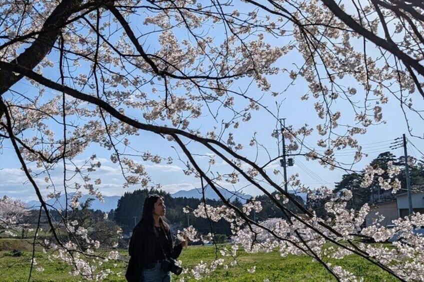 Yamagata 6 Hours Private Tour with Licensed Guide 3