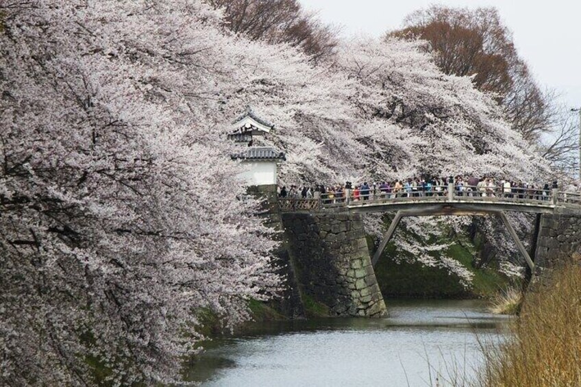 Yamagata 6 Hours Private Tour with Licensed Guide 4
