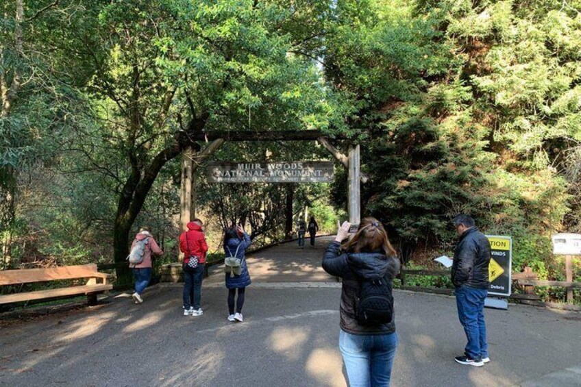 Muir Woods National Monument and Sausalito Day Tour San Francisco 3