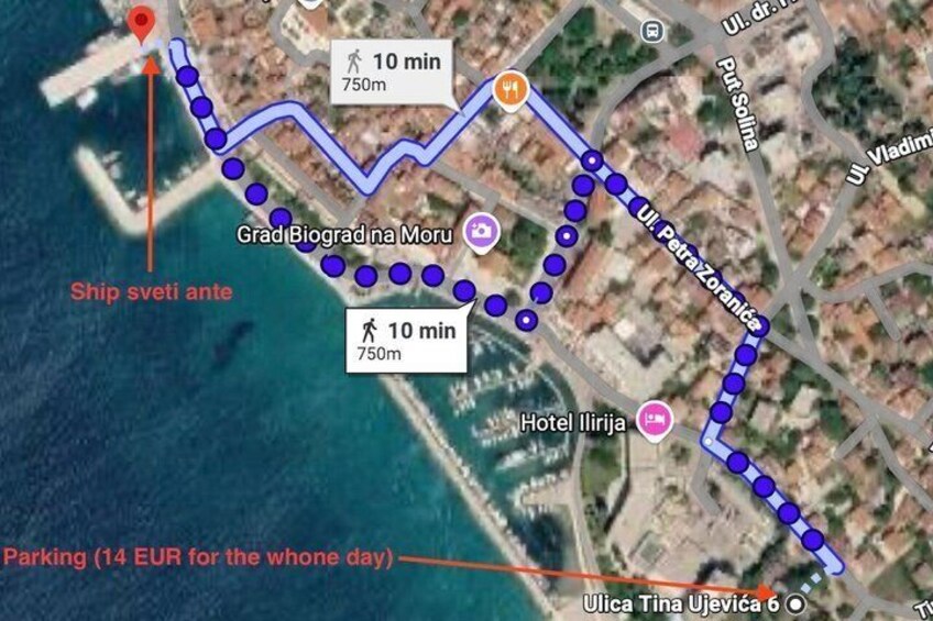 Biograd na Moru Dolphin Watching Cruise with Drinks 2