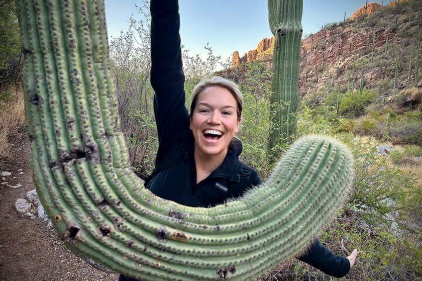 A person sitting on a large cactus in a desert landscape. 1