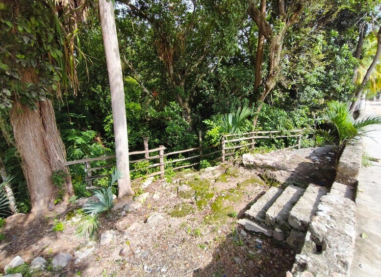 A natural landscape with a wooden fence, a stone pathway, and lush greenery. 5