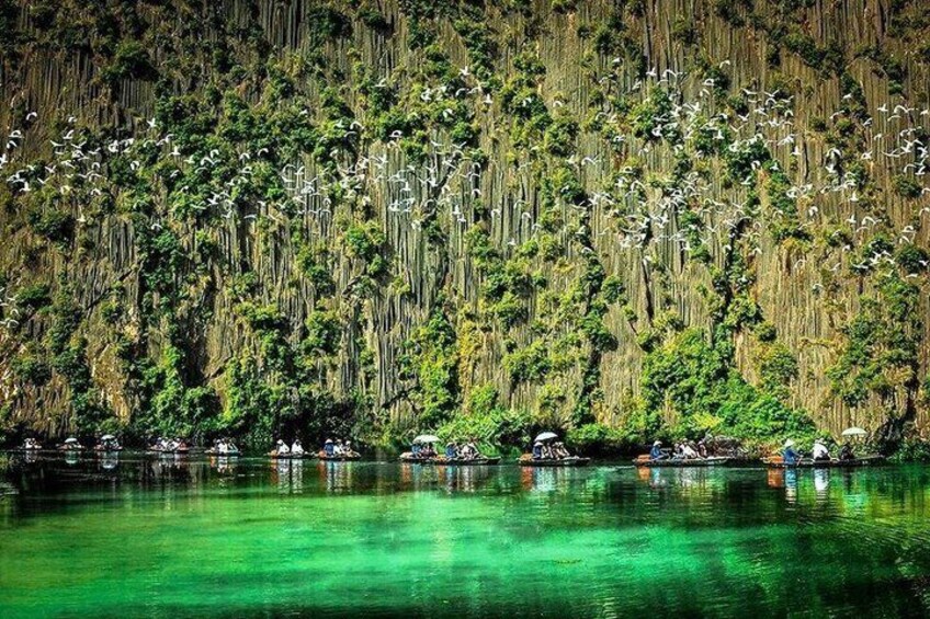 A river with boats, a dense forested cliff, and a flock of birds. 3