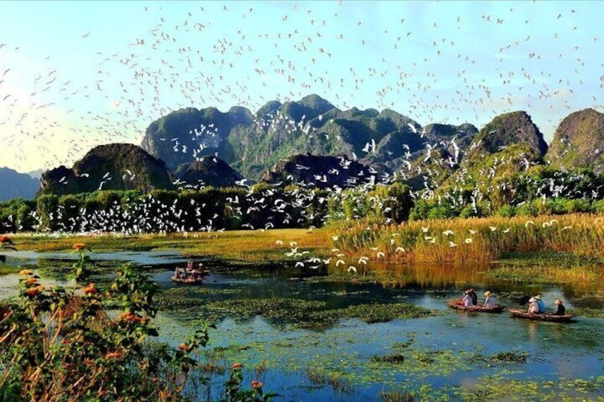 A river with boats, birds, and mountains in the background. 4