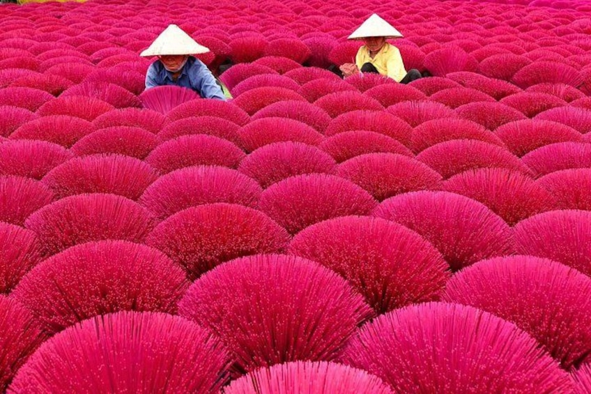 A field of vibrant pink flowers with people working among them. 2