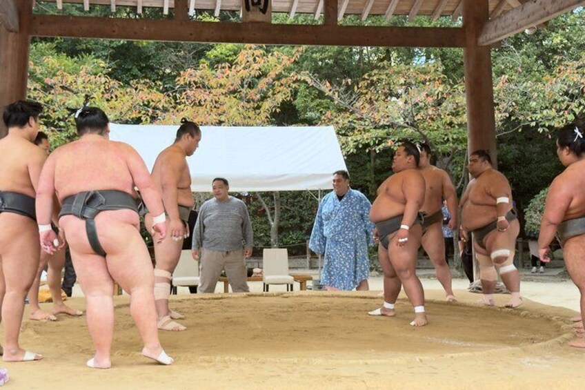 A group of sumo wrestlers in a ring, with a pavilion and trees in the background. 4