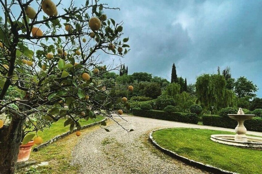 A garden with a lemon tree, a gravel path, and a fountain. 5