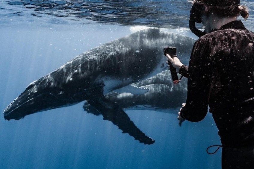 A person taking a photo of a large whale in the water. 3