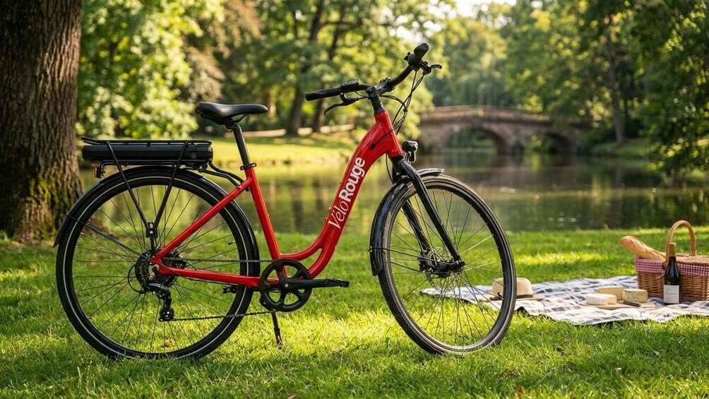A red VeloRogue bicycle parked on grass near a lake with a picnic setup. 3