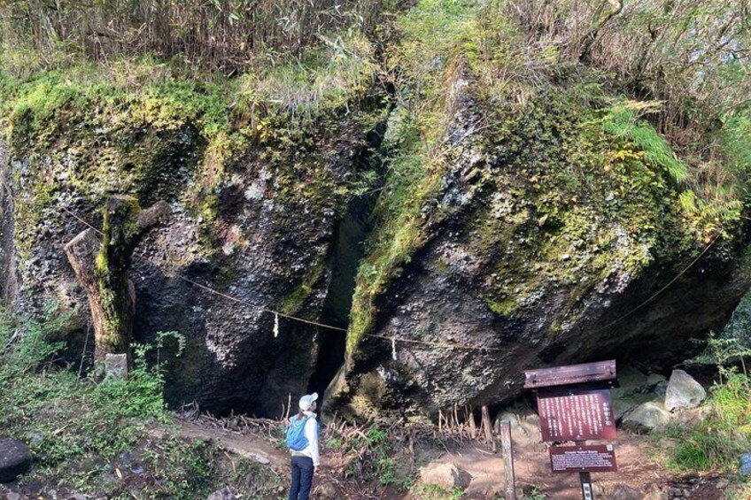 A person standing near a large rock formation with moss, a sign, and a trail. 5